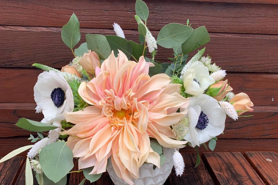 Dahlia mix