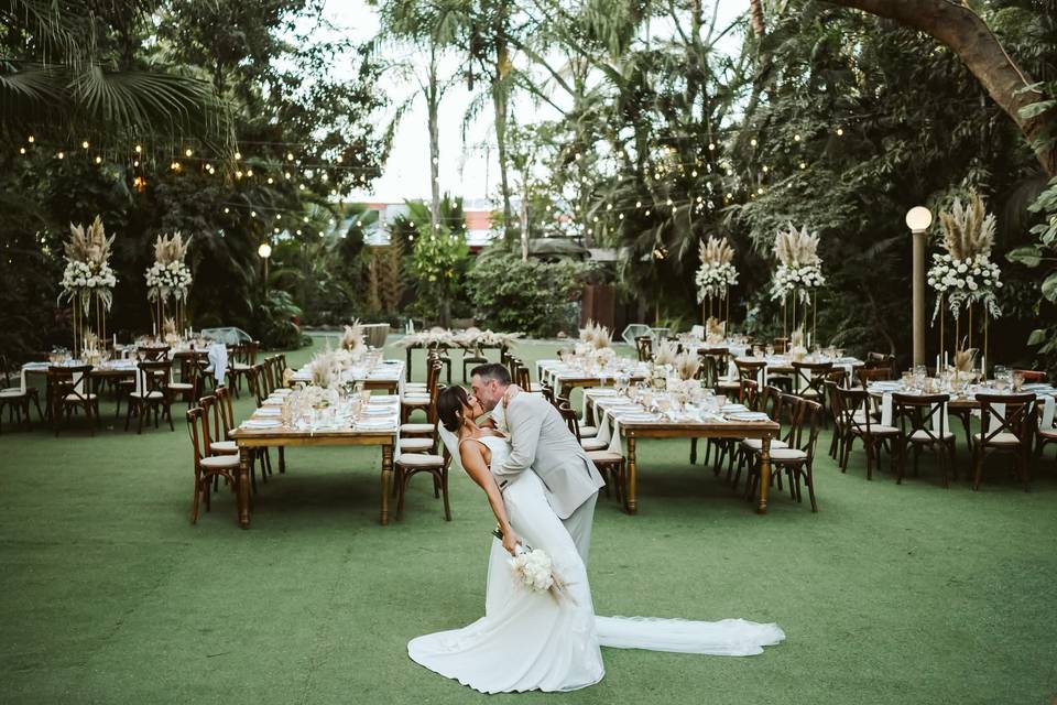 Reception reveal