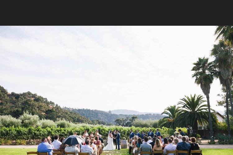 Wedding on Vineyard Lawn