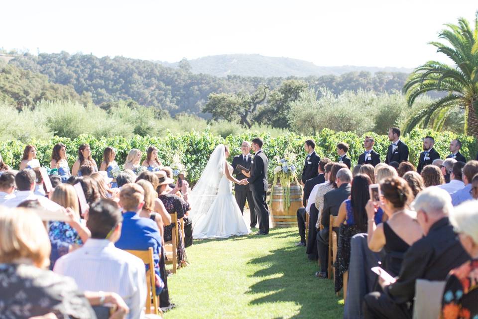 Ceremony on Vineyard Lawn