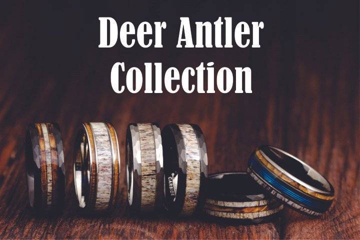 Deer Antler Collection