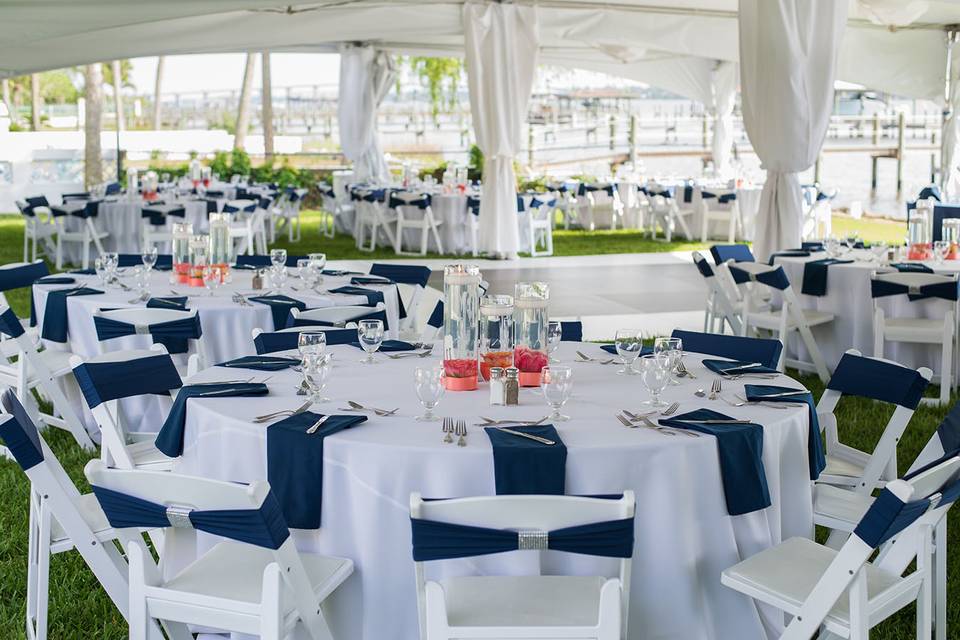 Wedding Reception