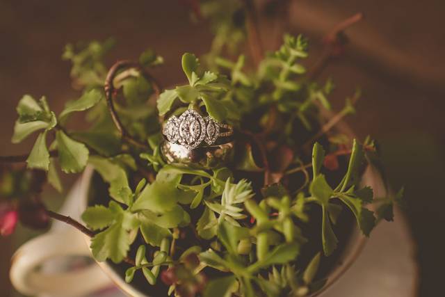 Timeless Touch Photography, LLC