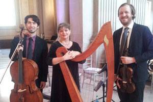 Harp, cello, and violin player