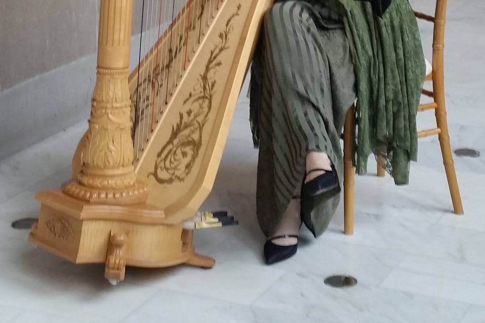 Lara with Classical harp