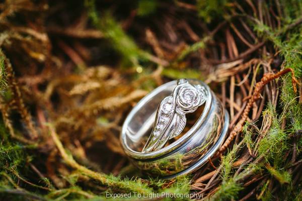 Wedding rings in nature setting Minneapolis Wedding.
