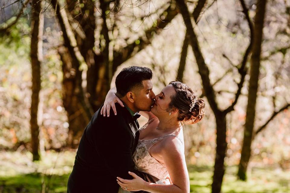 Oregon intimate wedding