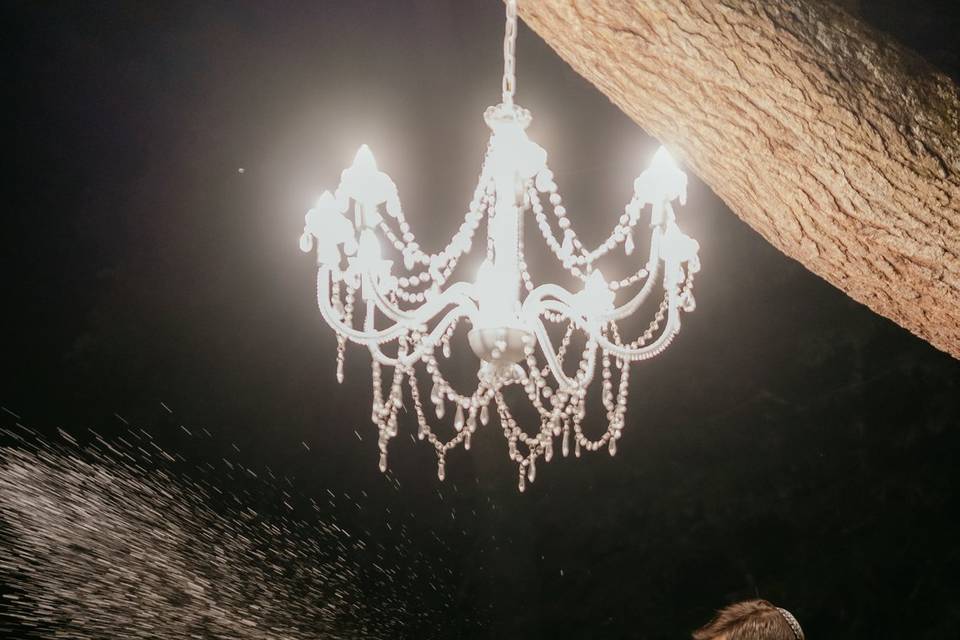 Party