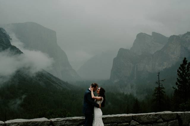 Trees & Seas Photography