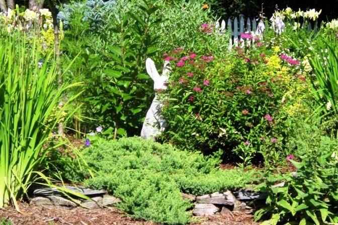 Rabbit statue by the plants