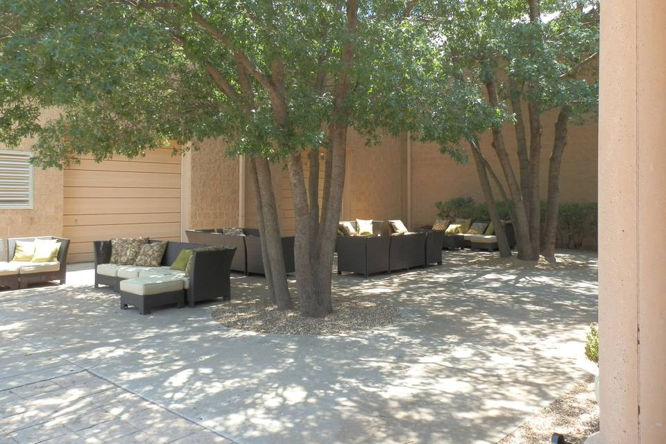 Our outdoor furniture under the branches. Very relaxing space at the winery.