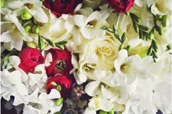 { Oleander } Florals & Events