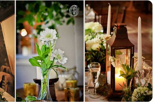 { Oleander } Florals & Events