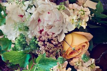 { Oleander } Florals & Events