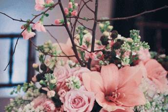 { Oleander } Florals & Events