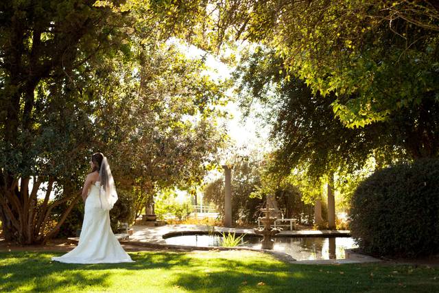 Bride at Koi Pond