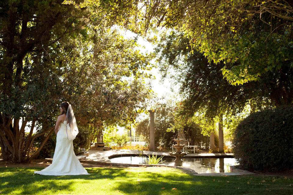 Bride at Koi Pond