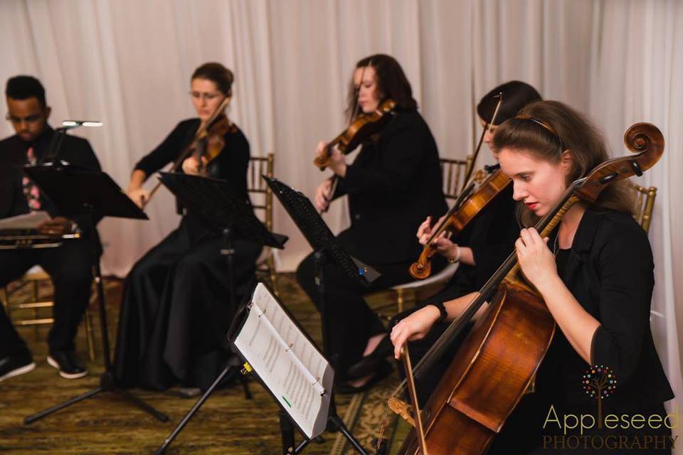 String quartet and trumpet