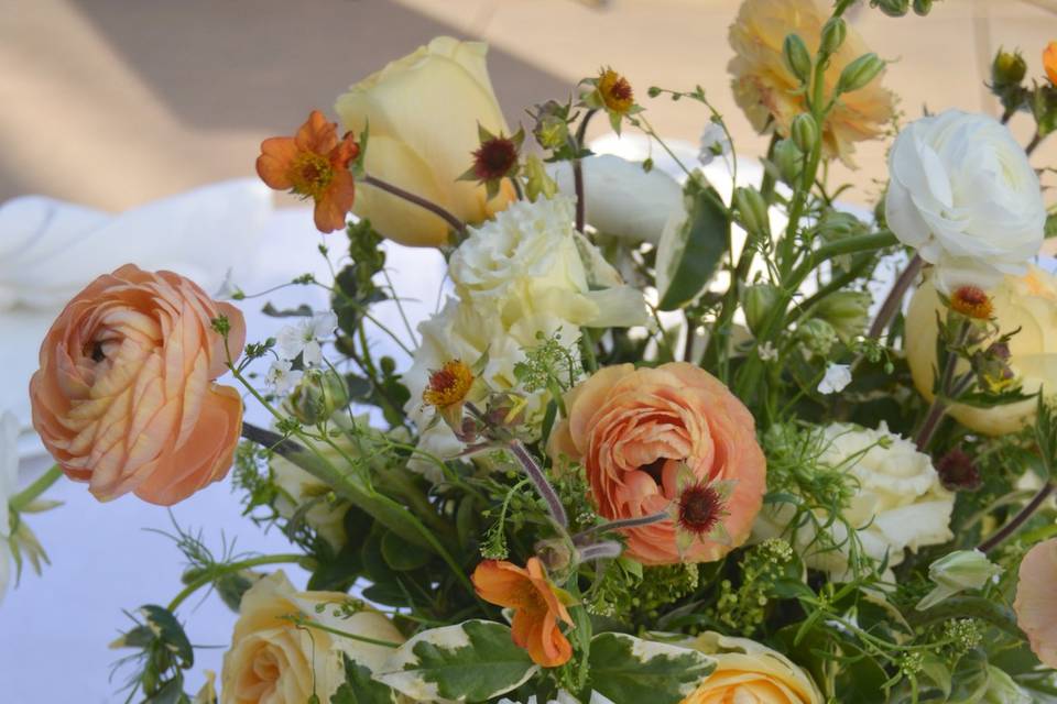 Peach & yellow