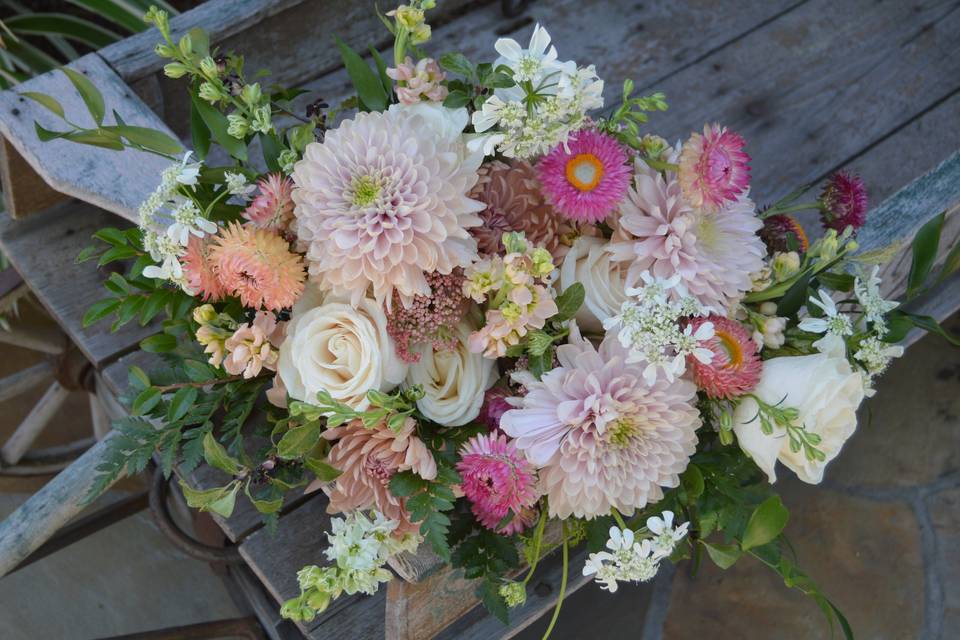 Pink & peach