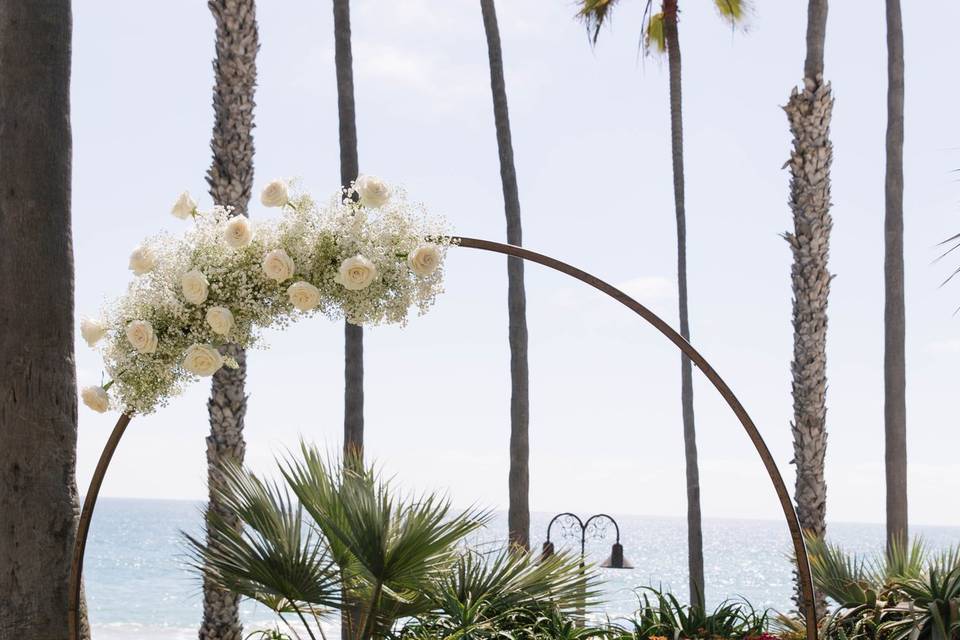 Baby's breath and white roses