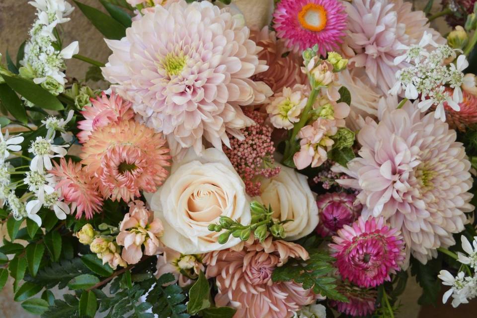 Pink & peach