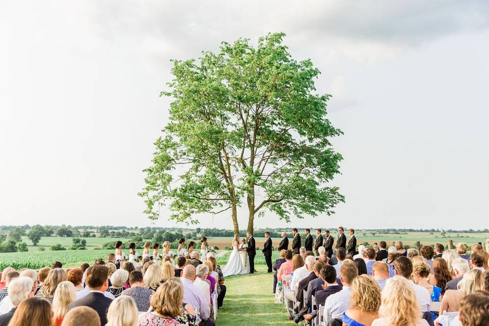 Louisville Tented Wedding