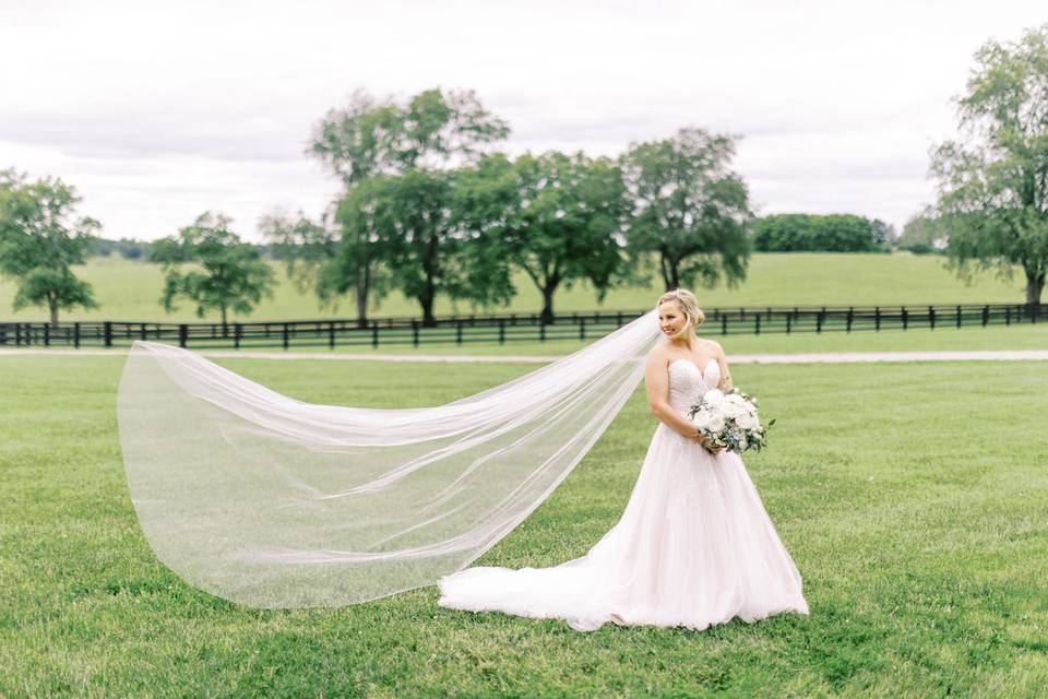 Kentucky Wedding