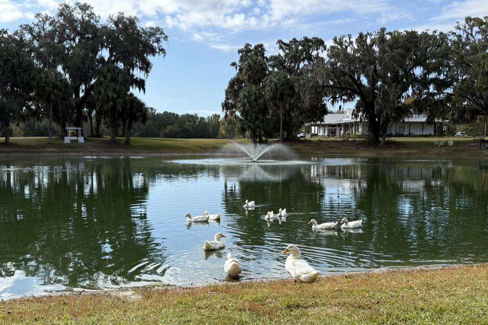 Ranch Wedding Events