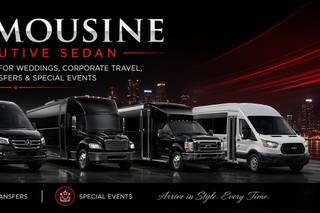 TNT Limousine