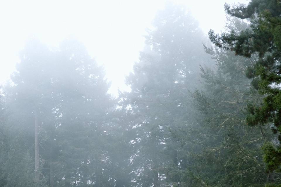 West Coast Wedding