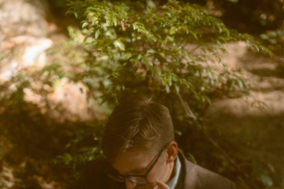 Redwoods/ Film Vibe