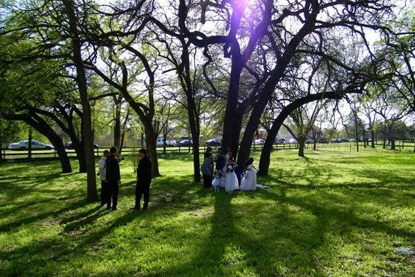 The wedding party prepares for pictures on the green of Mililani Woods.