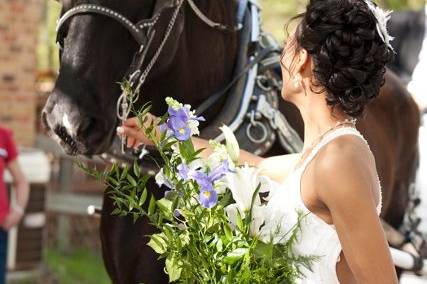 Bride with the horse prepares for a grand exit.