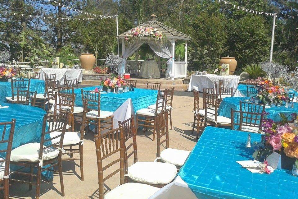 Apex Tent & Party Rentals