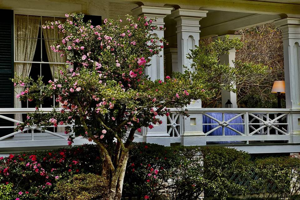 Beautiful Estate House Porch