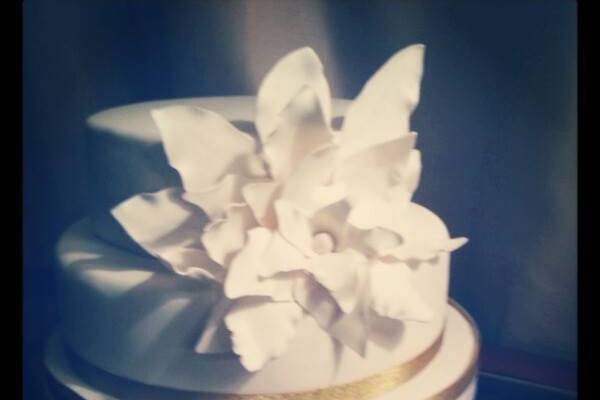 Couture Cakes by Christina