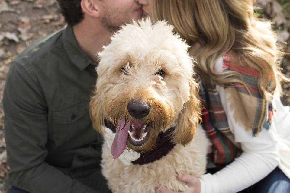 Clare Marie Photography