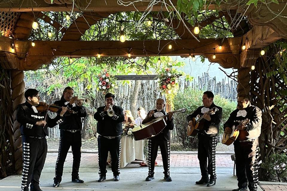 Mariachis
