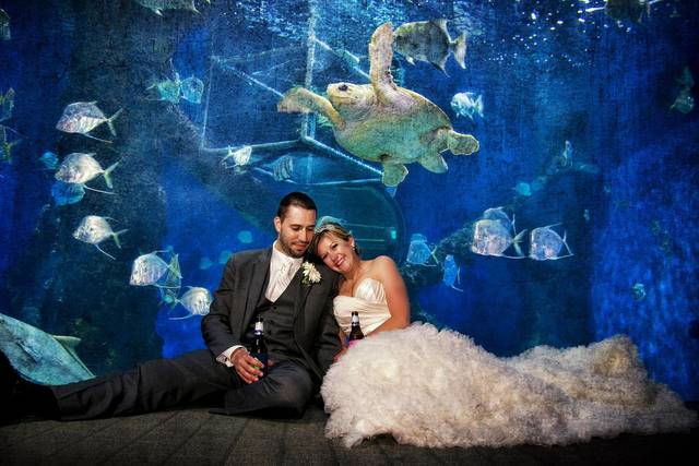 Unusual backdrops