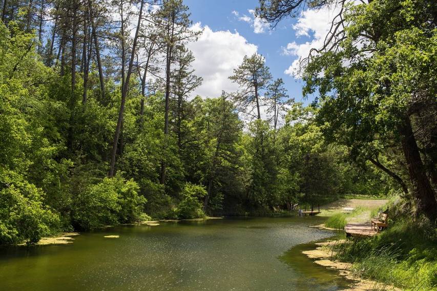 Guest Pond