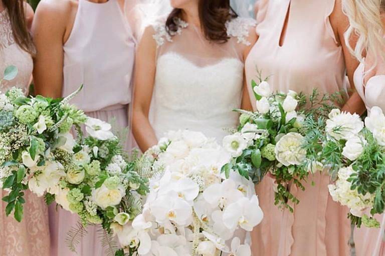 Bride with the bridesmaids