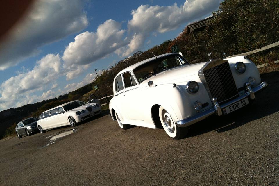 Limos at Wingaersheek Beach