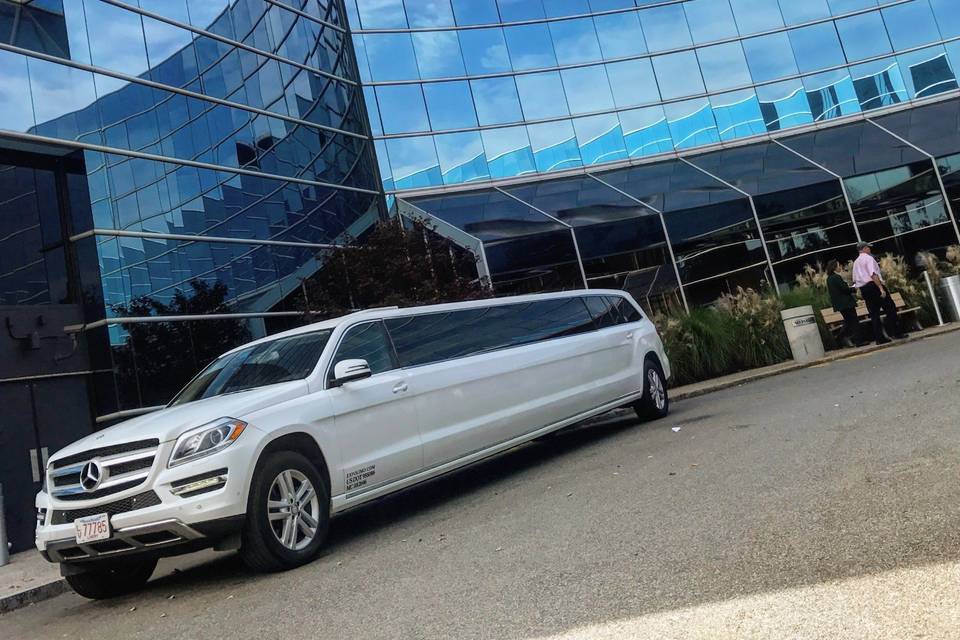 Expo Limousine