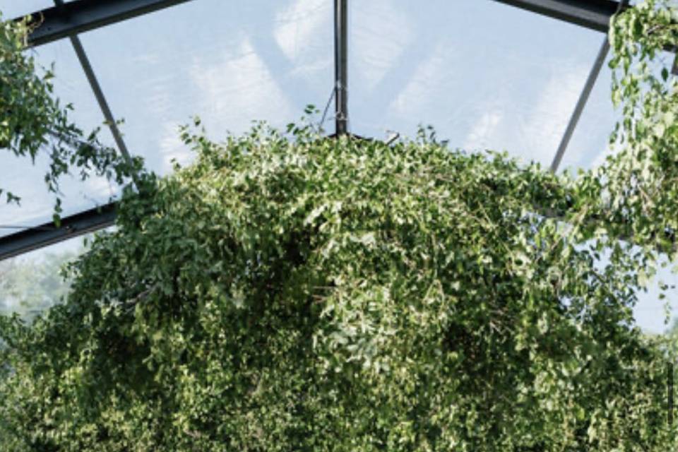 Green wedding