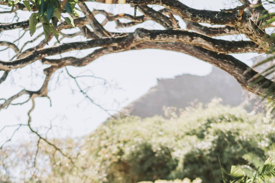 Kualoa Ranch Wedding