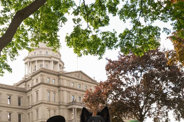 Lansing Capitol