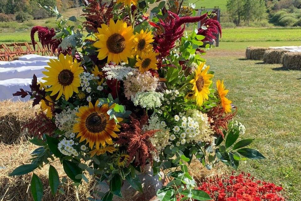 Sunflowers in Milk Cans