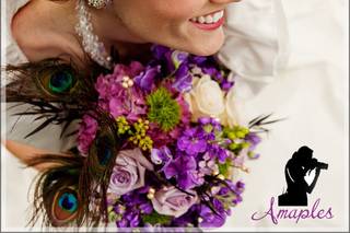 Adrienne Maples Photography Studios