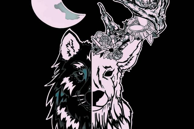 Wolf & Stag Aesthetics LLC